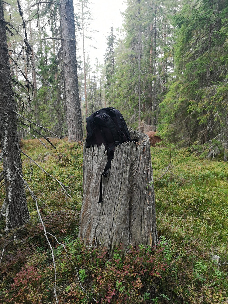 Grov tyristubbe