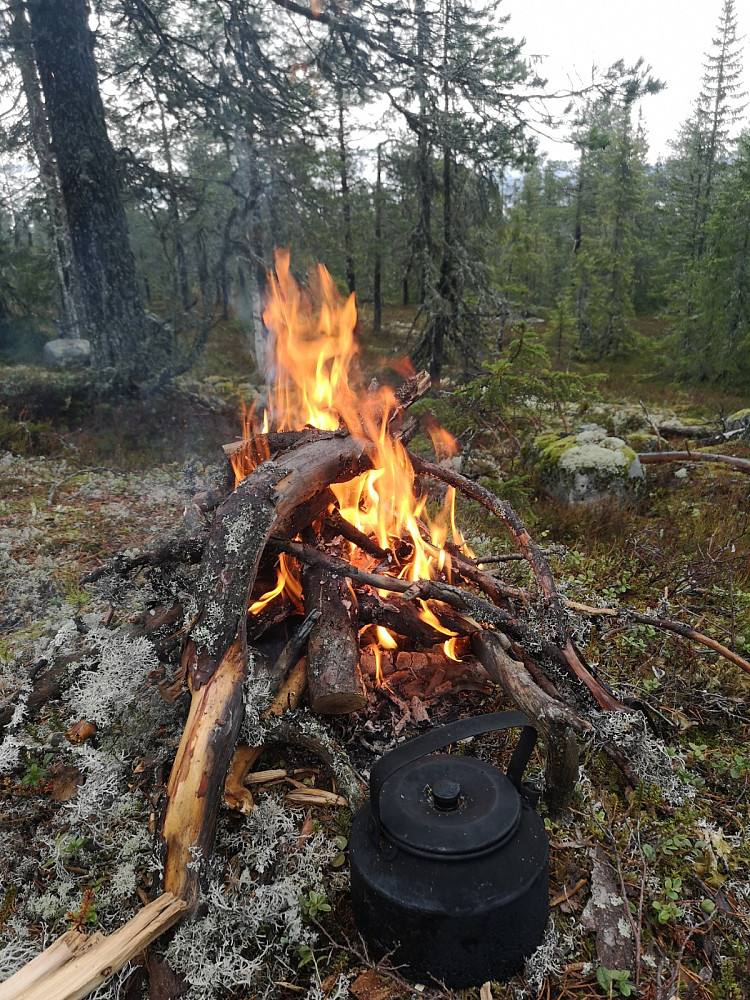 Kaffe ble det i dag også