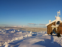 Peregrinus_20201216_5fda0f1ab5b59.jpg