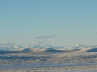 Peregrinus_20201216_5fda0f1e00c21.jpg