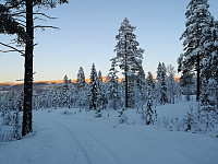 Peregrinus_20201216_5fda0f200ecbc.jpg
