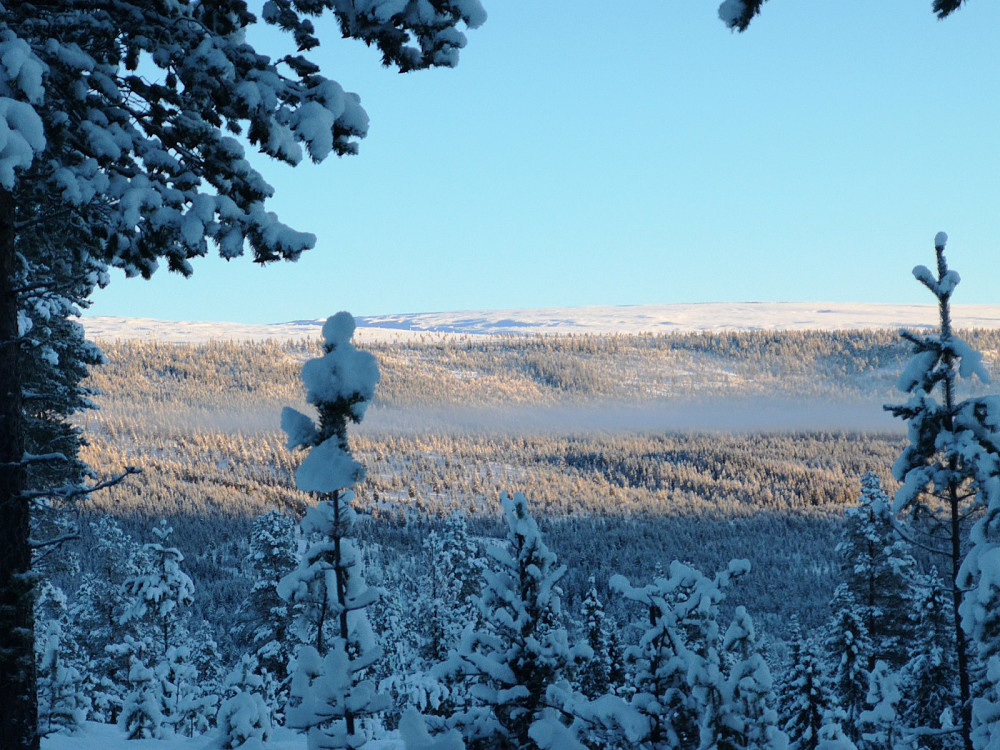 Tverrfjellet