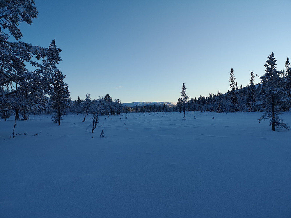 Blåtimen