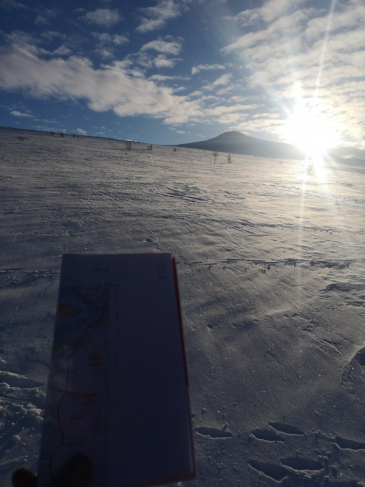 Søndre Brurskarknappen ble dagens første topp. Kartet må frem for å orientere oss om den beste ruta opp