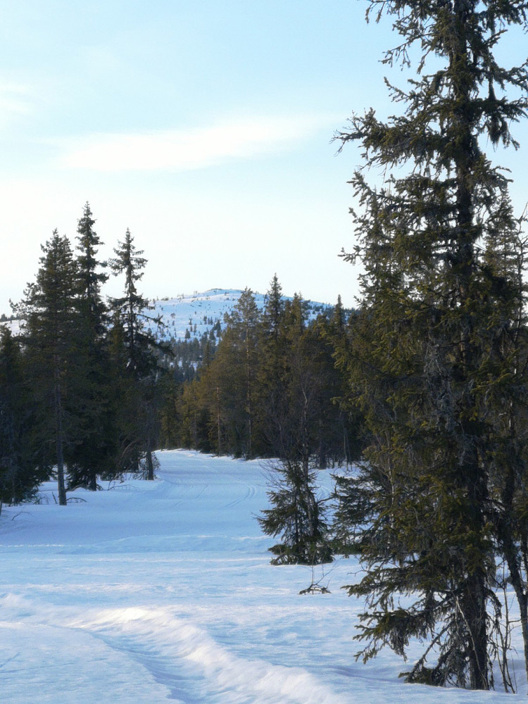 Kveldens mål, Hemmelfjellet