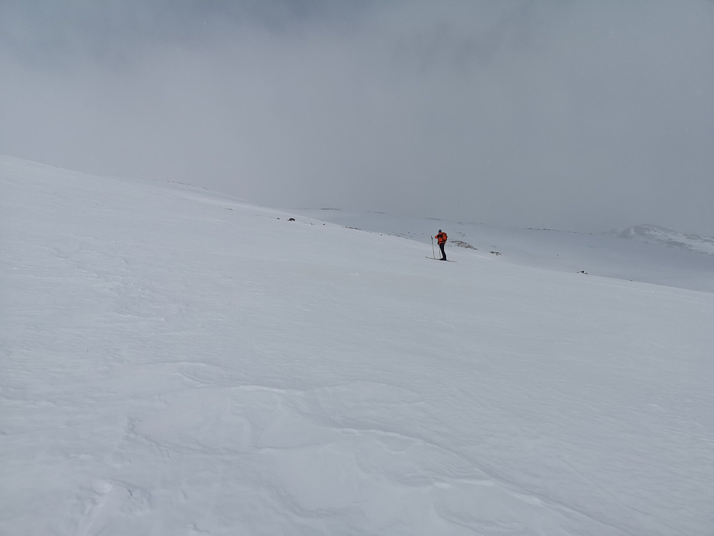 Det var ikke bare sol. På turen opp ble det slitsomt for meg da jeg bare hadde kortfeller. Problemet var at snøen pakket seg mellom fellehårene slik at jeg ikke fikk feste. Jeg var rimelig het i toppen, og sliten i armene.. Pekka været stemningen, og holdt seg litt på avstand 
