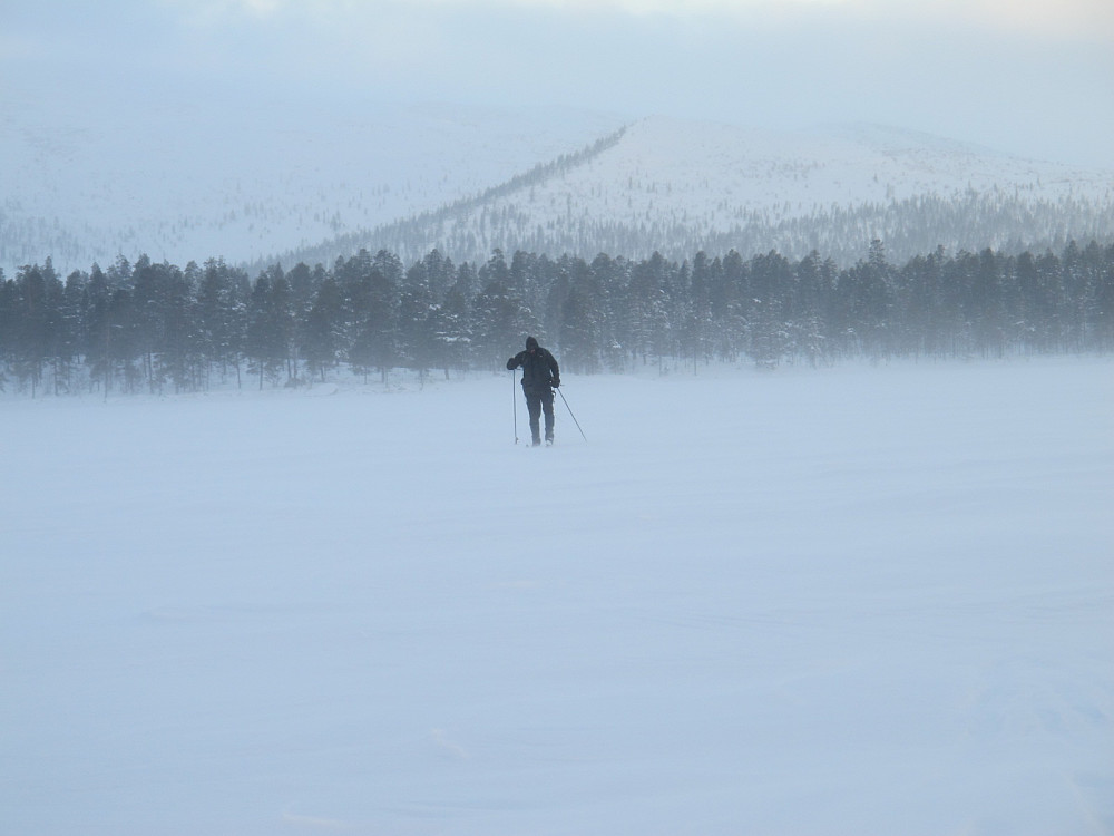 Arne i vinden..