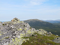 peregrinus_img_2406.jpg