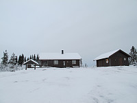 peregrinus_img_2614.jpg