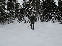 peregrinus_img_2615.jpg