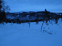 peregrinus_img_2617.jpg