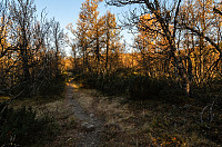 Sjutten_20151014_561e5e13eaf53.jpg