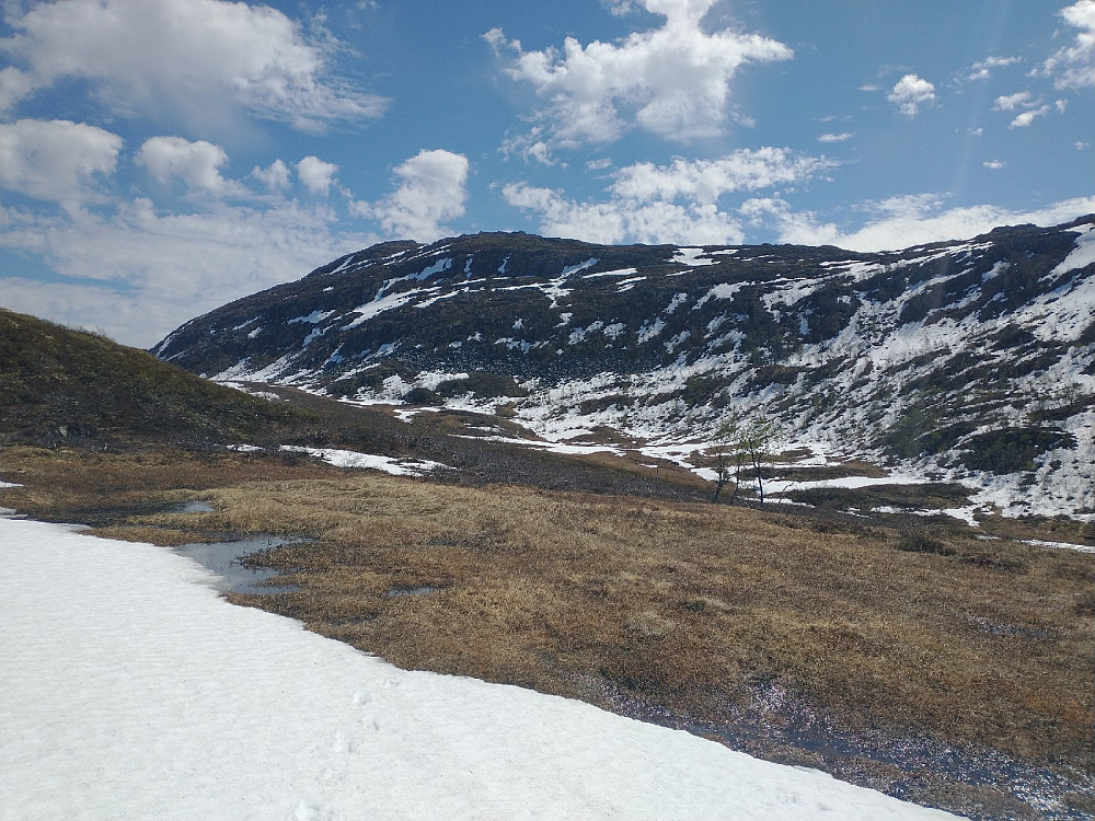 Nordsiden av Skåkleiva knipset fra Beinstigtela. Fjellslettet kalt Åkeren i forkant.|