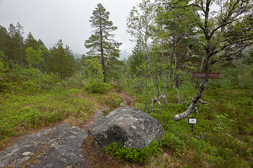 Haukarsteinen i munningen av Romådalen. Før i tiden stoppet seterfolket her og ropte, så de underjordiske skulle rekke å komme seg vekk fra setra før de kom.