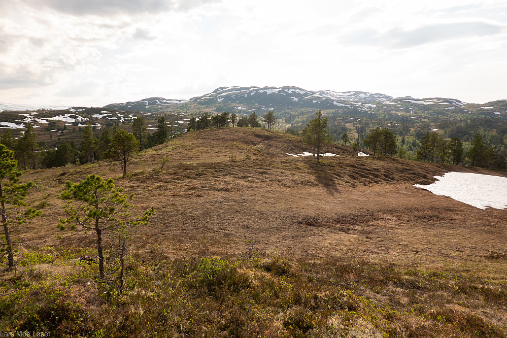 Litlstabben. Bak ligger Nonsklimpen, som er det østlige partiet i Tifjellet.