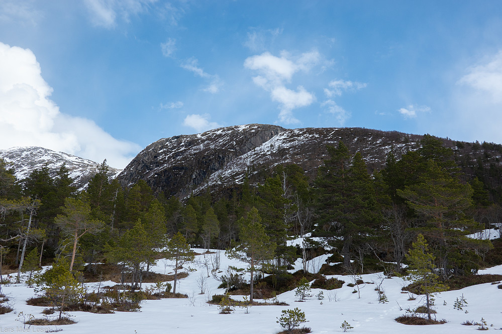 Gråurhaugen sett fra vest (Trollhaugan).