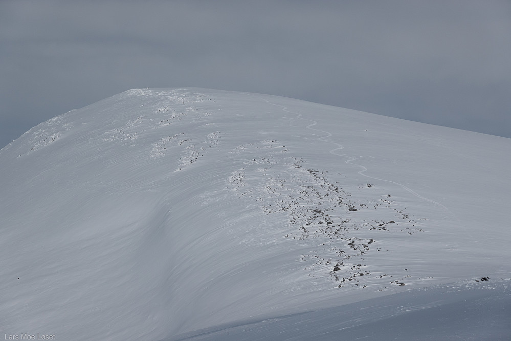 Søndre Storlifjellet. (uoffisielt stedsnavn)