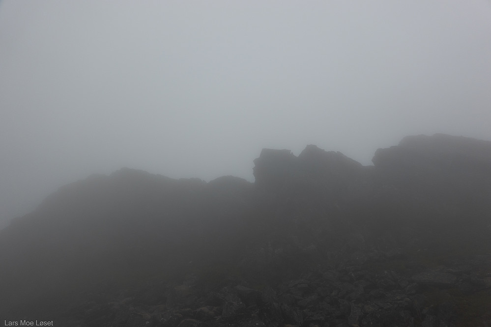 Ørnhammarfjellet. 769,7 moh.
