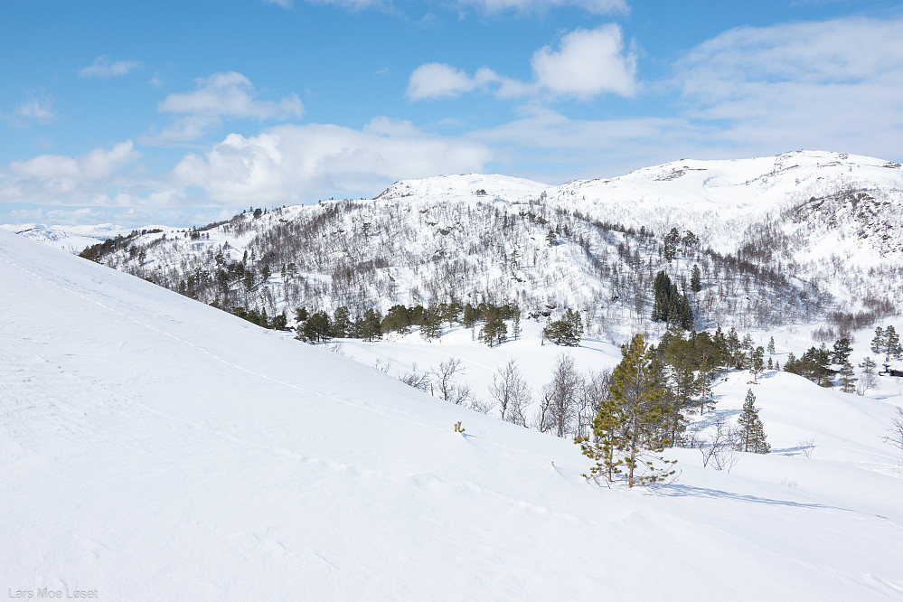 Røsdalen og Dal-lia.

