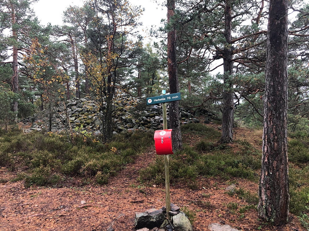 Gravrøyser på toppen
