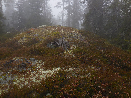 Skjukuåstoppen 655 moh.