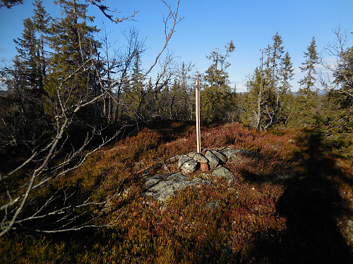 Høyere enn dette kommer du ikke i Søndre Land!
Vesle Skjellingshovde