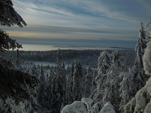 Over skodda
