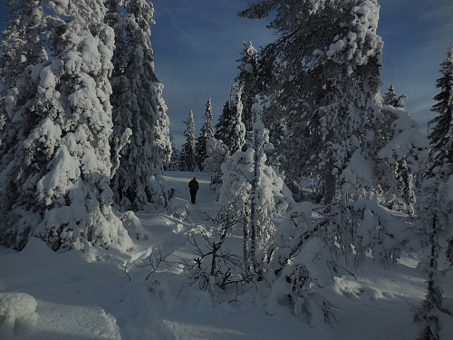 På Kvilåsen litt nord for toppen