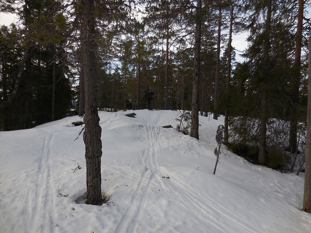 Håkon på toppen av Samsjøberga 527 moh.