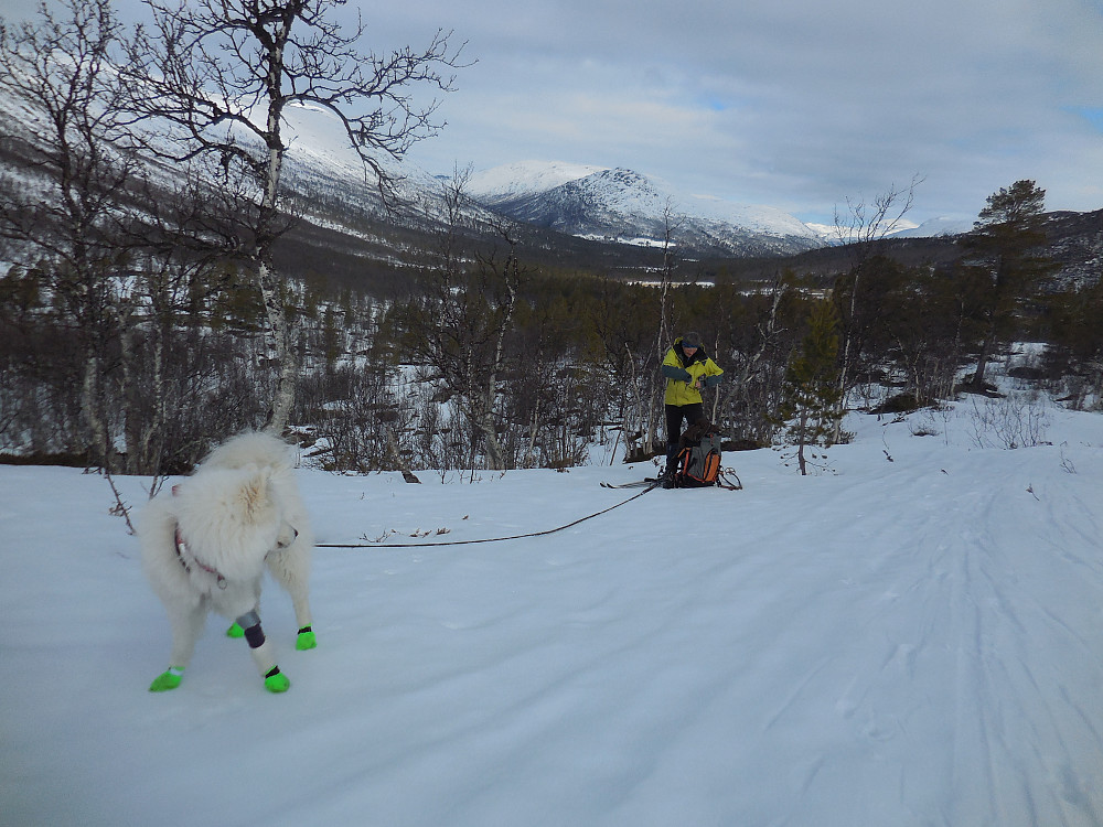 Asbjørnsdalen nordover med Borga og Brøstkampen 