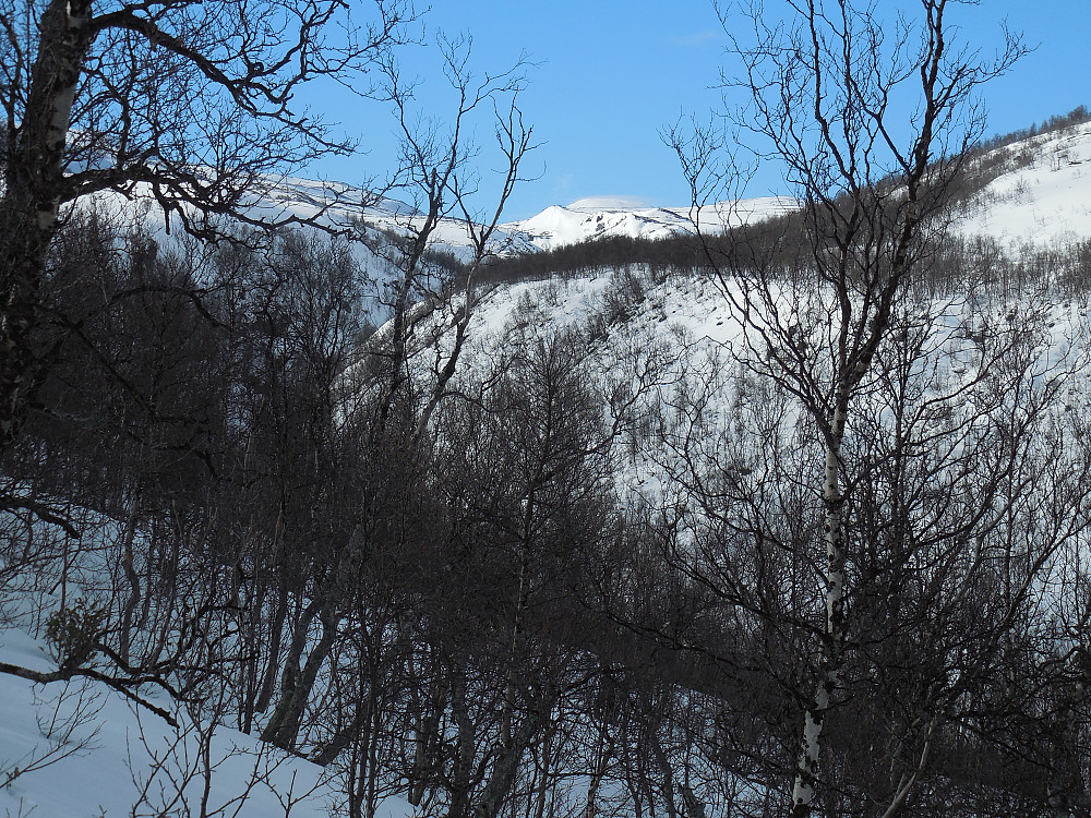 Sørover og oppover Asbjørnsdalen. Toppen med skodde på, langt der bak, er Digerkampen.