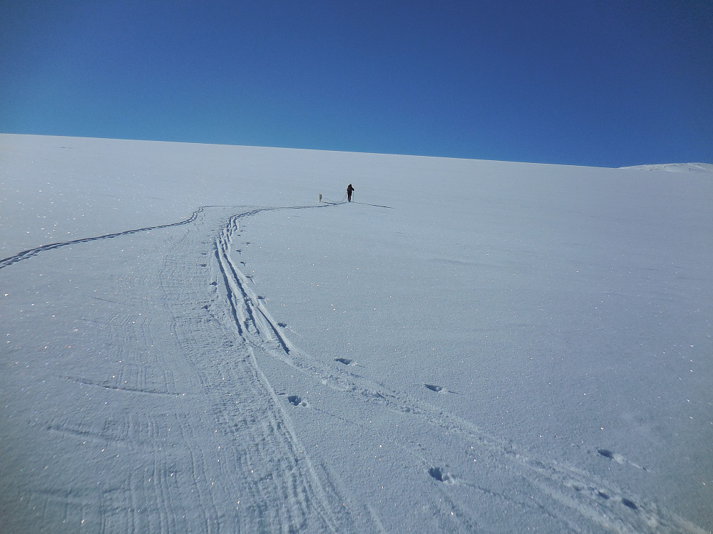 Over Storbreen