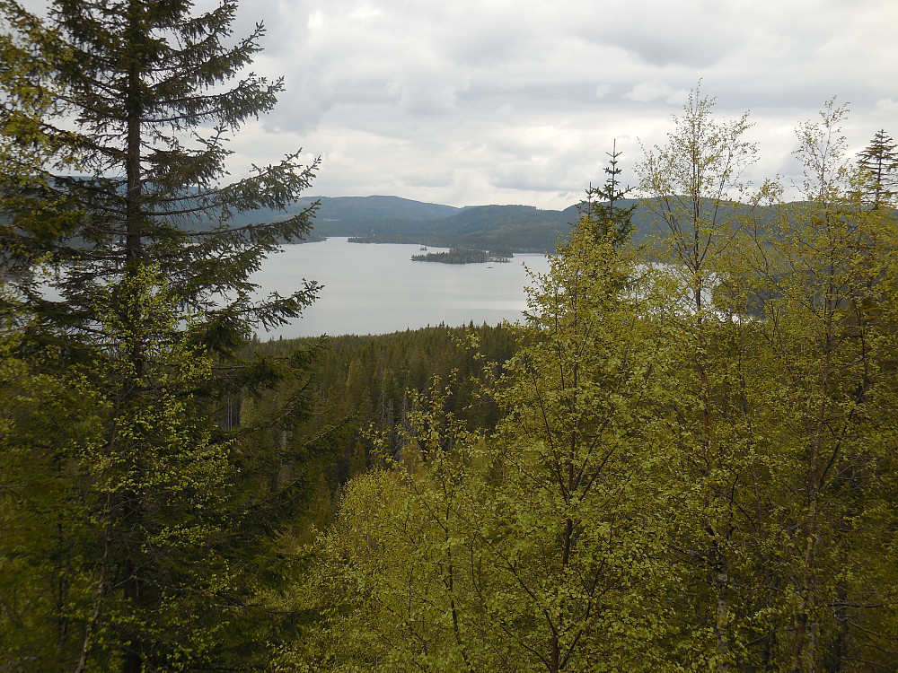 Utsikt utover Øyangen fra nordvest for Rustadkampen.