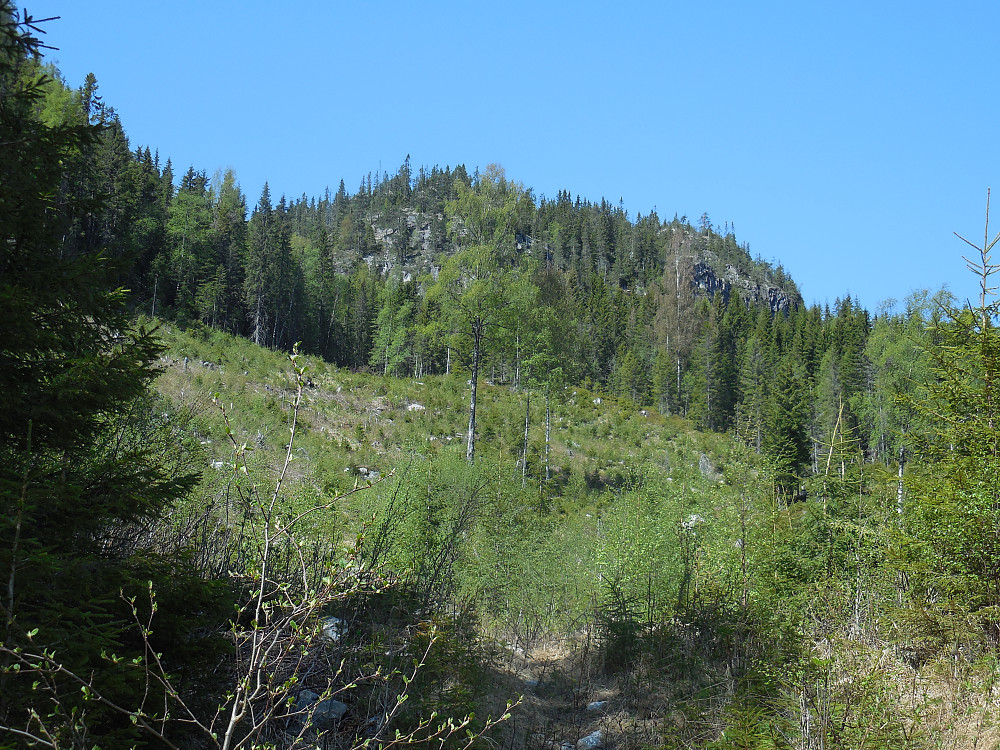 Bratt opp til Tjuvhanskollen fra Nedre Bergvatnet.