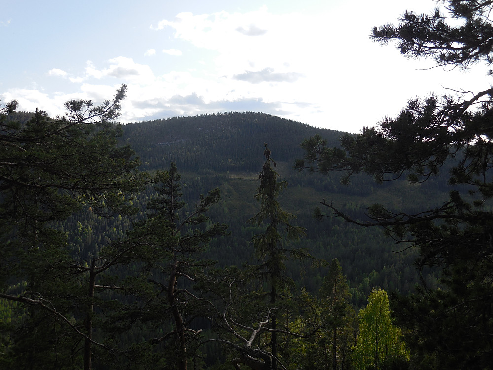 Faksehaugen fra Hesjabakkolen.