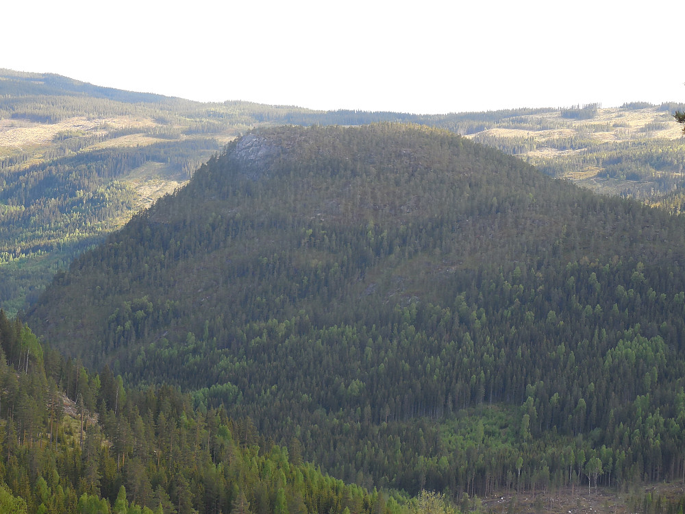 Kristiansmokollen fra nabokollen, Hesjabakkollen.