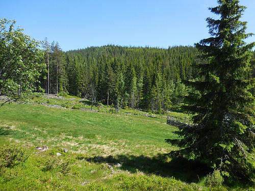 Dagens mål, Gransjøhøgda, fra Gransjøvangen.