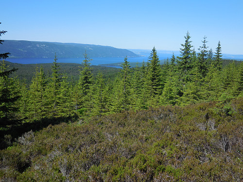 Utsikt mot Mjøsa og Skreikampen fra ca. 100 m sør for toppen.