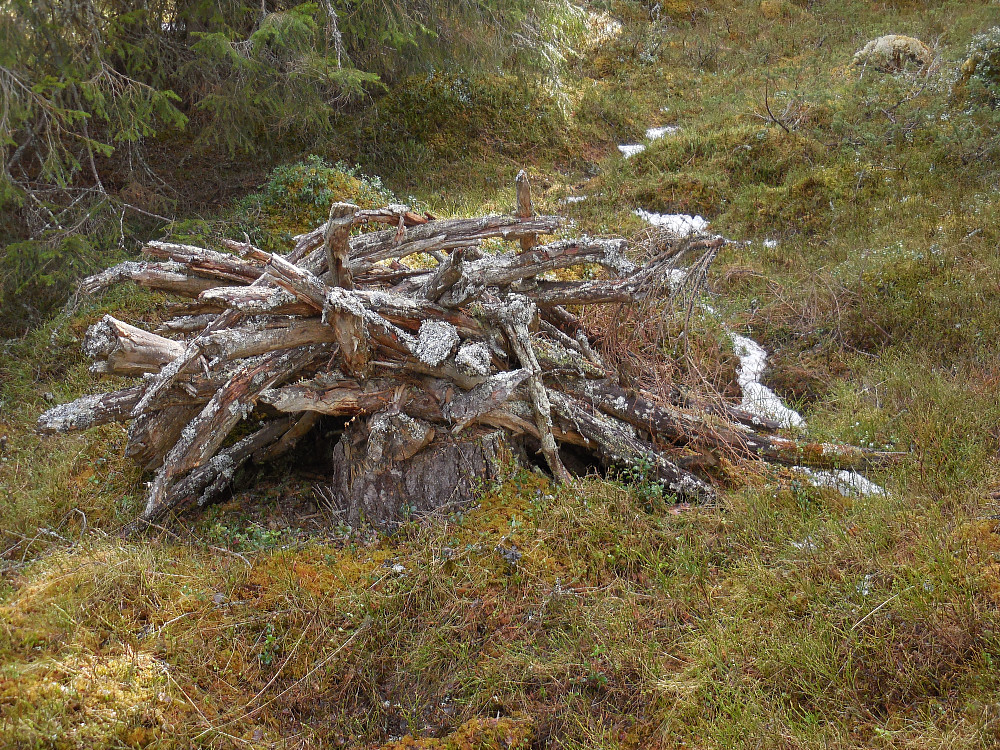 Gammel gjenglemt vedsanking. Ved Myromsætre.