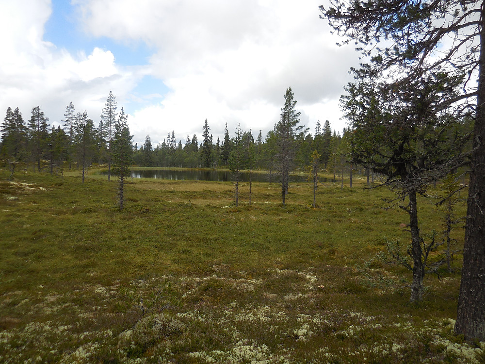 Idyllisk lite tjern mellom Rullbekkliåsen og Gamlevollåsen.