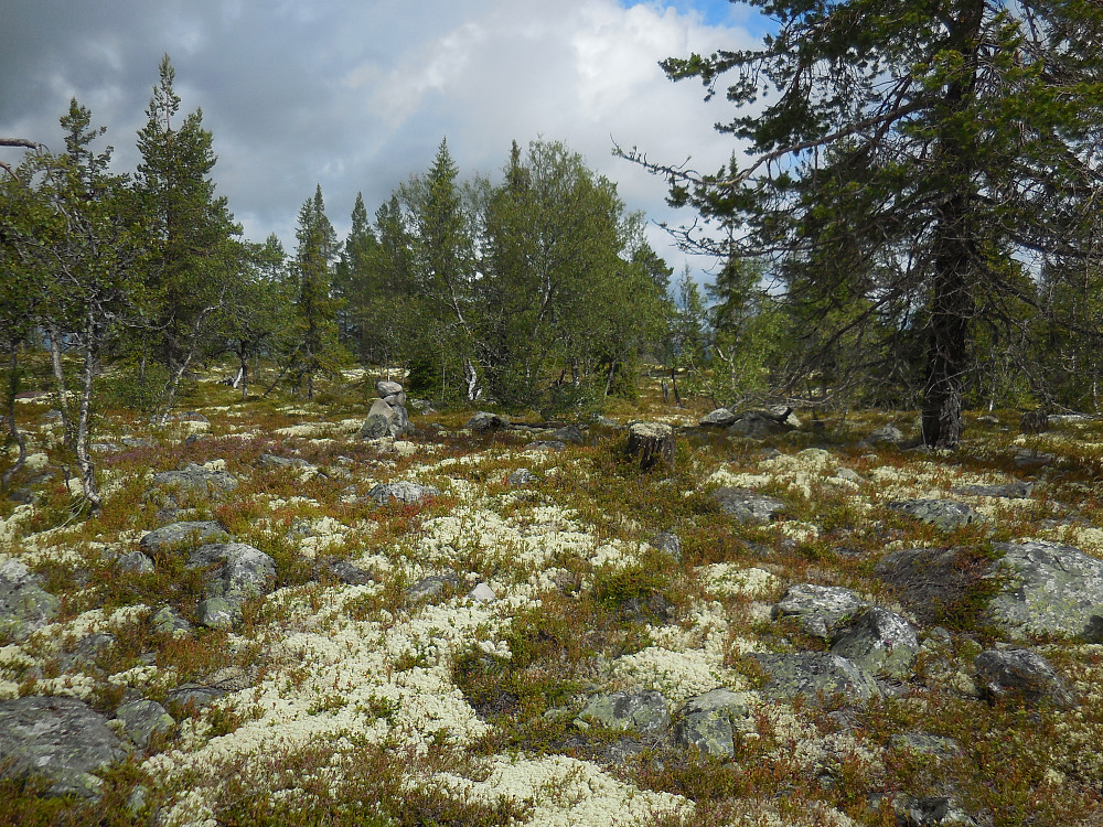 På toppen av Gamlevollåsen 844 moh.