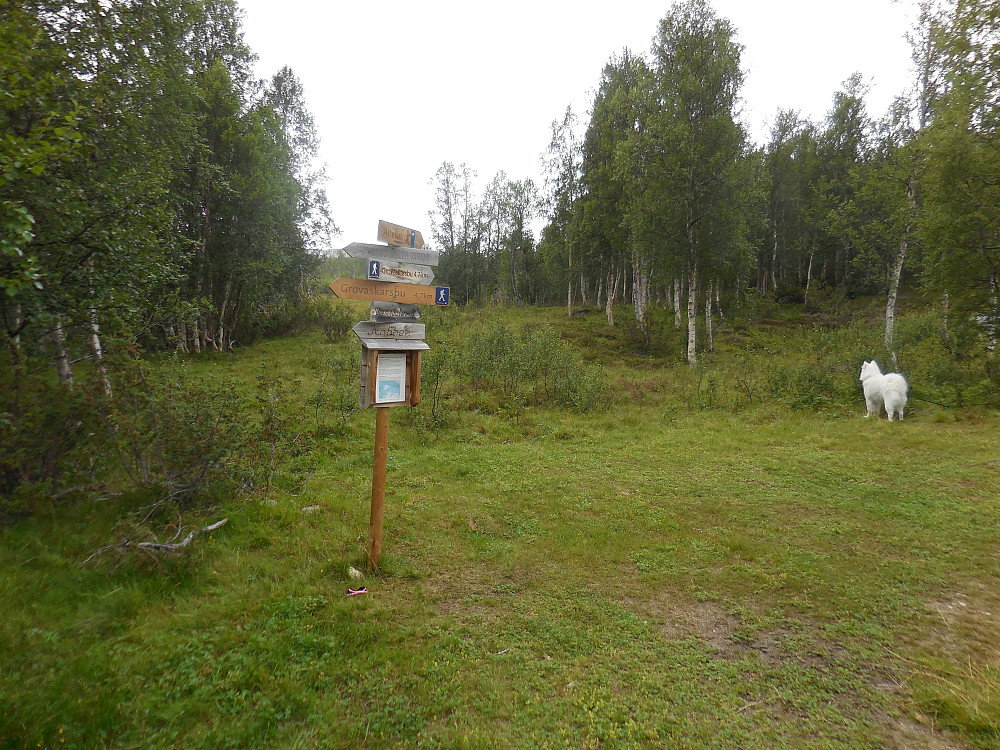 Stistart ved Førholen.