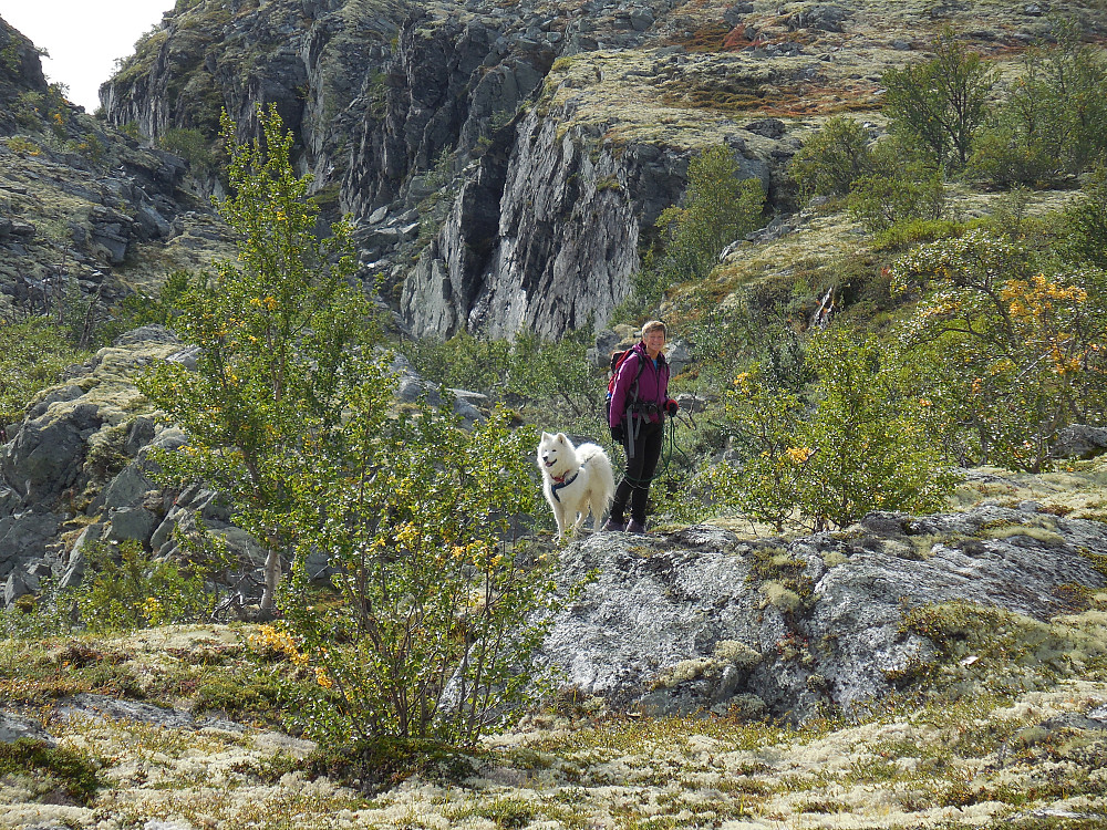 Vill rondanenatur.