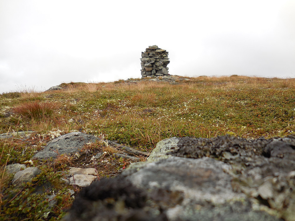 Snart på toppen av Bratthøa, 1221 moh.