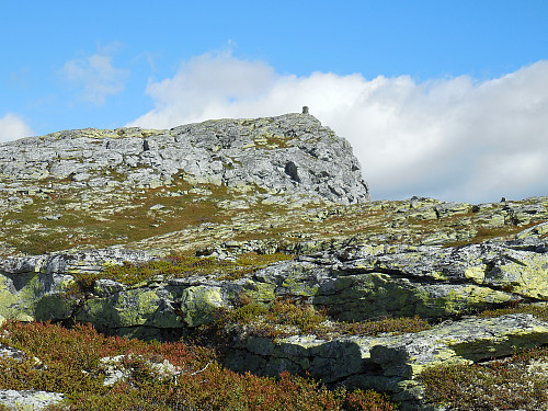 Toppen på Djupdalskampen, 1125 moh., i sikte.