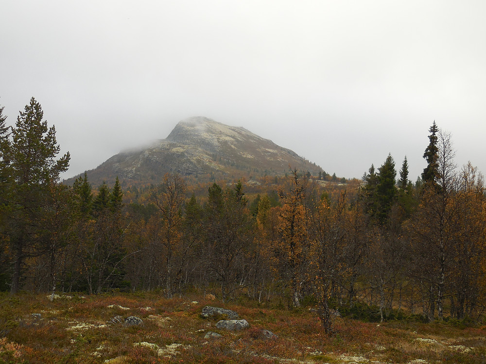 Tåka forsvinner fra Gnedden.