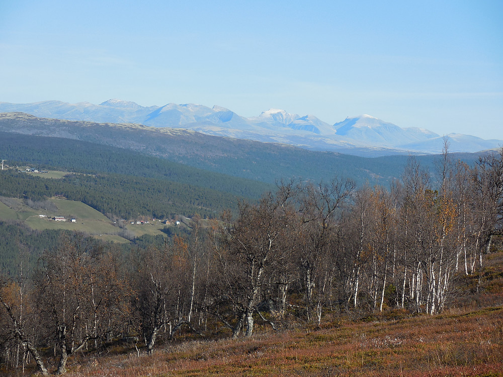Med en gang man kommer over skoggrensa dukker Rondane opp. Litt "melis" på Rondslottet og Storronden.