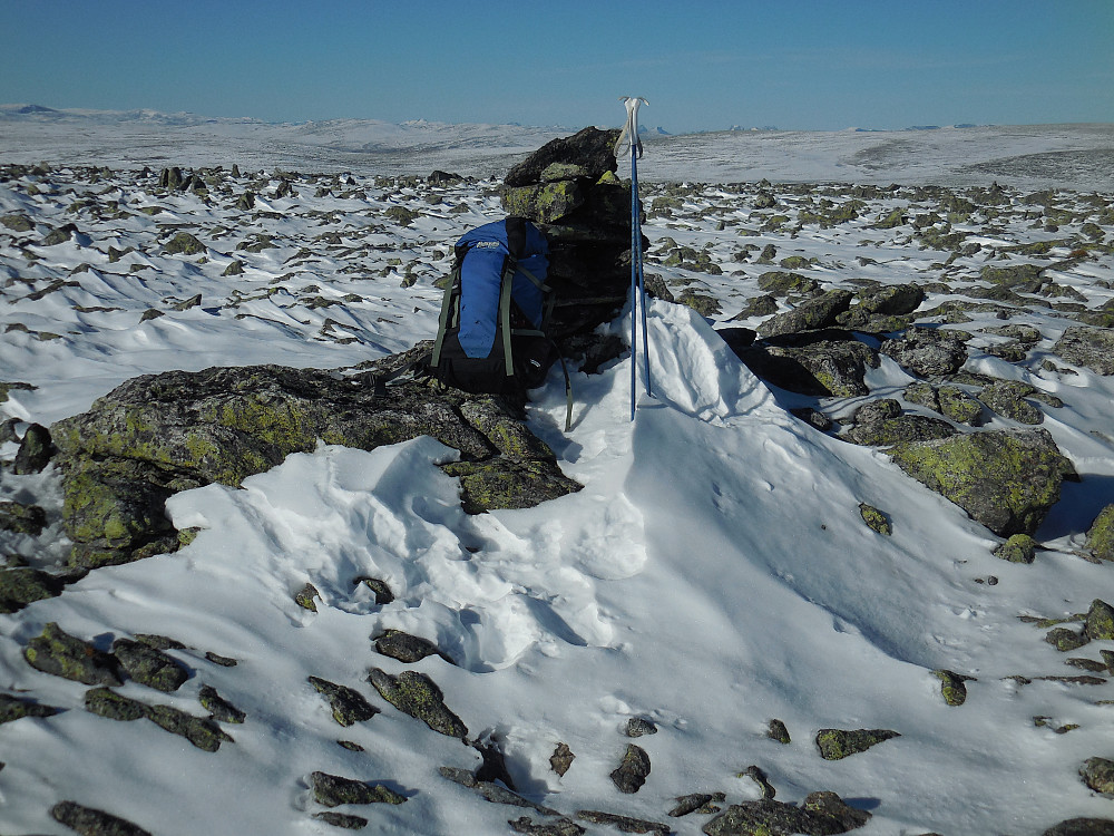 Rundkollan Ø1, 1866 moh. Sporene i snøen er etter jerv.