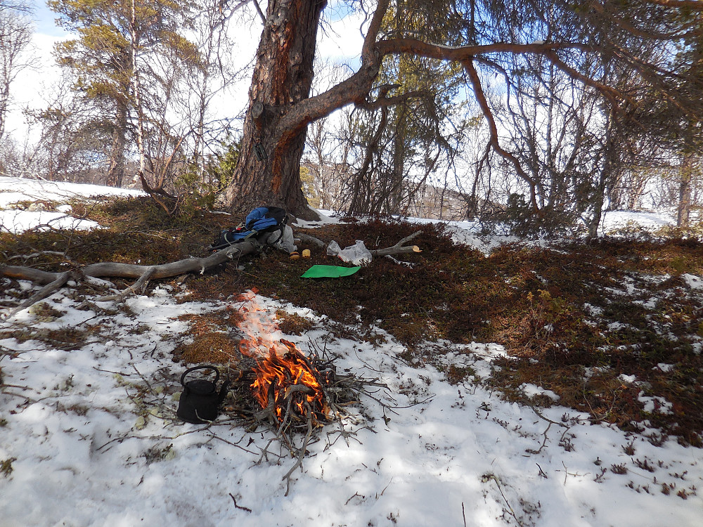 Bålkos så vidt utenfor fredningsområdet. Det er forbudt med bål i reservatet!