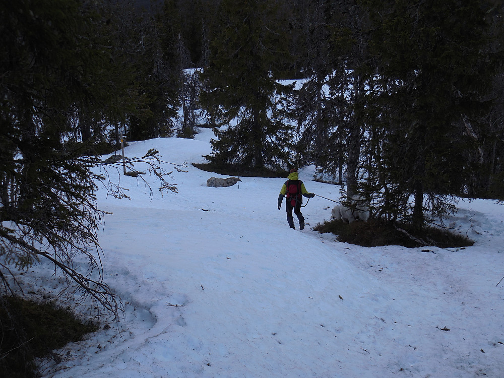 Det er fortsatt full vinter i den nordvendte delen av Deifjellet.